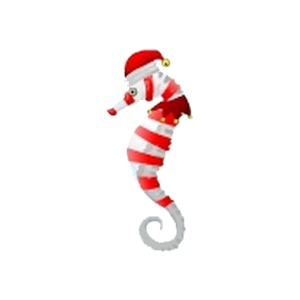 Stripe Elf Seahorse